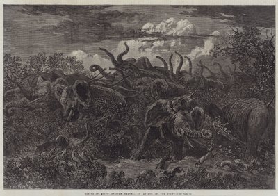Escenas de viaje en Sudáfrica, un ataque en la noche de William James Linton